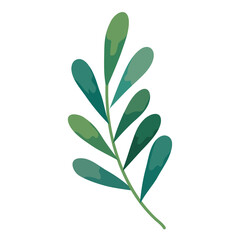 Palm leaf icon