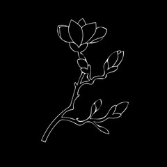 Vector image of a white contour of a flower branch on a black background. Minimalism