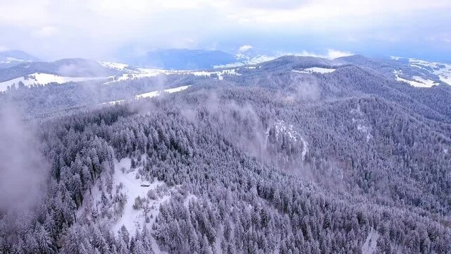 Aerial photography of natural landscape of vast forest in H&ouml;hronen, Switzerland in winter