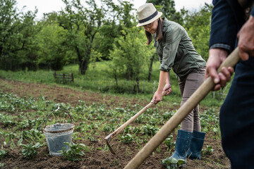 Side view of young caucasian woman female farmer working in the agriculture filed holding hoe to remove weeds and shaping soil and hilling - real people horticulture and self sufficiency concept - obrazy, fototapety, plakaty