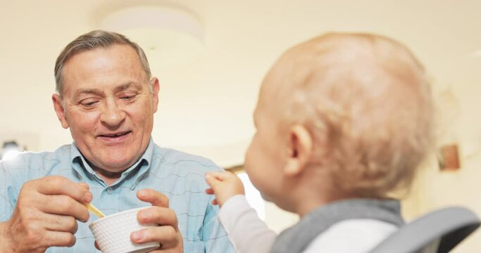 Joyful grandfather sits at table next to grandchild, child sits in feeding chair, senior feeds grandchild with spoon from bowl, toddler pushes food away, grandfather's hand