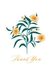 Botanical poster, "Thank You" card