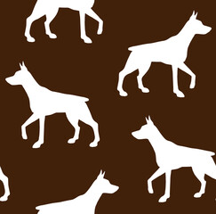 Vector seamless pattern of white hand drawn doberman dog silhouette isolated on black background