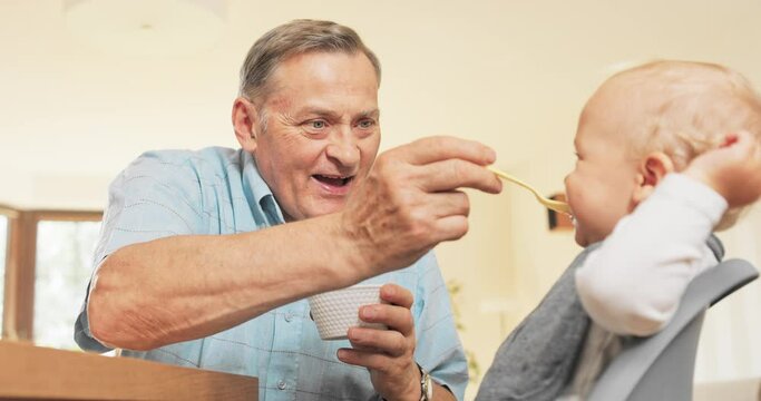 A retired grandfather sits at the table next to grandson, a smiling child sits in a feeding chair, the senior feeds grandson with a spoon from a bowl, collects leftover food from the bib