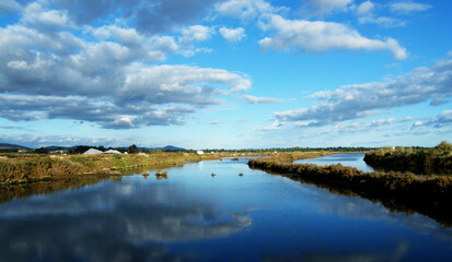 Fototapeta premium canais