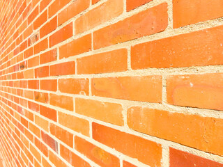Muro de ladrillos