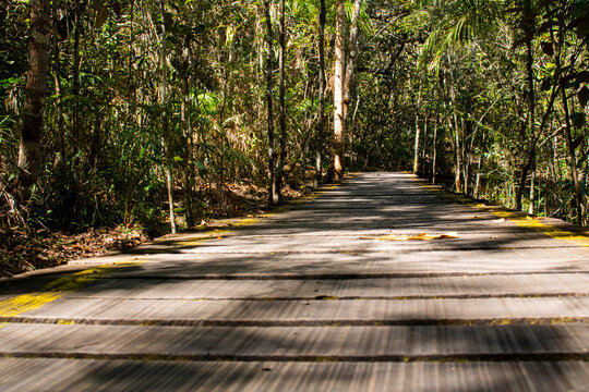O caminho &eacute; longo, aproveite a viagem