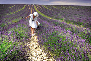 Nice view of Valensole in south of France - 443005395