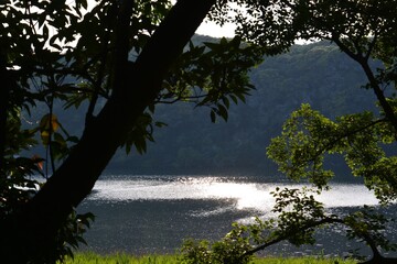 小網代湾の入り江