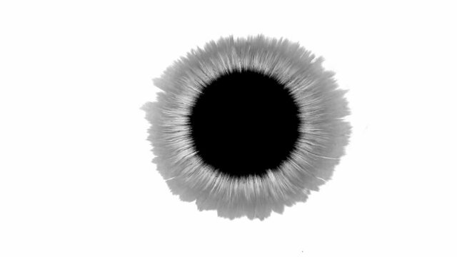 Animation of ink drop spreading out on the white paper forming a circle