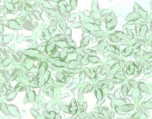 Art of the beautiful green leaf close up use for abstract image for background.