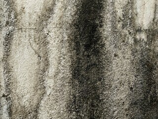 Concrete walls have black moss stains.  that has been in use for a very long time  Use it as a background and wallpaper.
