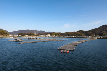 広島湾の牡蠣筏