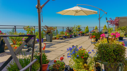Colorful flowers provide some small relief on BC rooftop patio during maximum intensity of record-breaking BC heat wave  - obrazy, fototapety, plakaty
