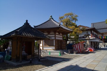 Obraz premium 西新井大師の春 満開の桜の季節
