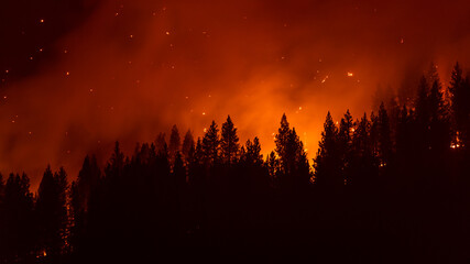 Forest fire burns in California