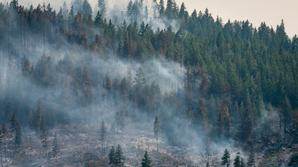 Klamath National Forest fire in Northern California
