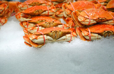 Frozen cooked crab on the ice for sale