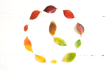 Circle of colorful autumn leaves with hand points to 16 o'clock in the middle, layout for design on a wooden white background. High quality photo