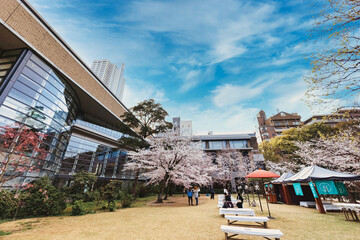 縮景園、春の風景（広島市）