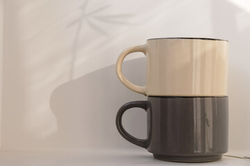 Two empty beige and gray cups on a white background. Morning light. Plants reflected on the wall. Copy space. 