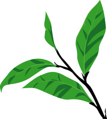 Young tea leaves, realistic vector illustration, no transparencies, EPS 8