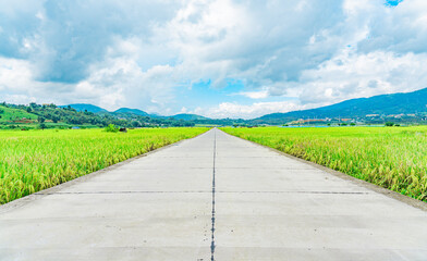 road in the countryside