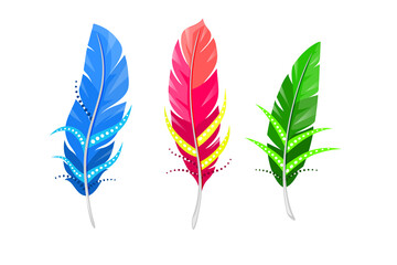 Vector set of color feather