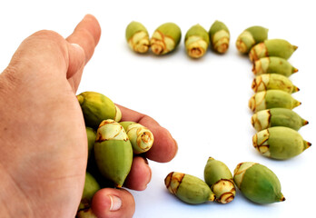 Artistic composition using green betel nut and hands on a white background.