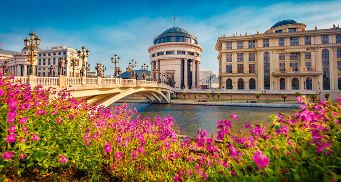 Blooming violet flowers on the shore of Vardar river. Exciting spring cityscape of capital of North Macedonia - Skopje with Archaeological Museum. Colorful view of Art Bridge.