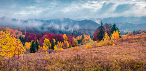 Panoramic autumn view of Carpathian mountains. Gloomy morning scene of mountain valley. Beautiful...