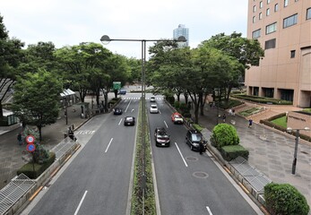 東京　新宿の主要道路（直線）