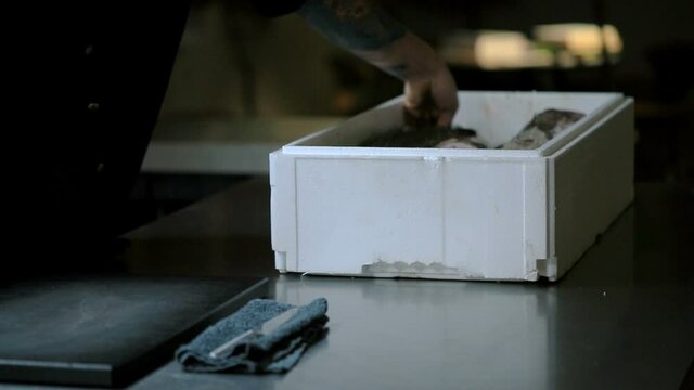 Food on a plate
Dinner. Delicious codfish on a plate
