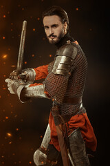 brave knight in a fighting stance