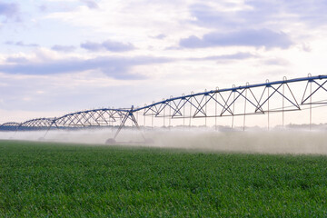 Modern automated agriculture system with Large irrigation sprinklers spraying water over lush crops on beautiful sky background. Watering wheat or rye green field. Concept of automation agriculture.