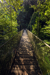 Obraz premium Suspension bridge over a river in jungle. Fornelos Bridge in Fragas Do Eume Nature Park, Galicia.