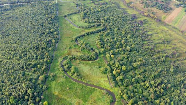 4K aerial - a bird's eye view&nbsp;video (Ultra High Definition). Straight dawn view of Seret river, Ternopil, Ukraine. Captivating summer scene of green flooded valley. 