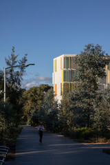 Monash university campus student apartment living beside garden thoroughfare.