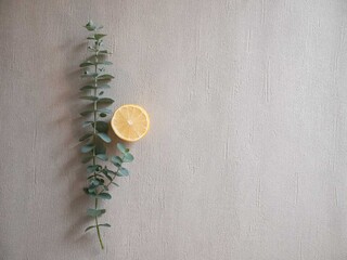 レモンなどの柑橘系とユーカリの葉。リラックス・アロマの香り。