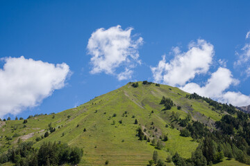 Fototapeta premium Vue panoramique d'une colline. Une colline en été avec des nuages dans un ciel bleu. Une montagne en été. Un paysage de montagne.