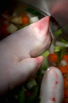 Schweinefuss und Schweineschw&auml;nze mit Gem&uuml;se im Suppenhafern | From Nose To Tail