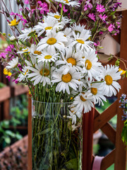 View of beautiful summer flowers in the glass vase in the garden.