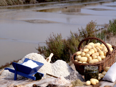 pommes de terre noirmoutier