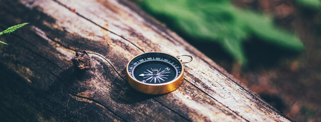 Compass on an old tree, terrain orientation concept, hiking - obrazy, fototapety, plakaty