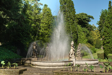 Fototapeta na wymiar Garden with fountain in the summer's day