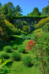 Green garden in a summer day