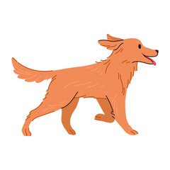 Side view of a walking golden retriever. Cute puppy vector illustration.