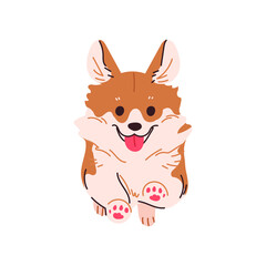 A frontal view of a Welsh Corgi running excitedly. Cute dog play concept vector illustration.