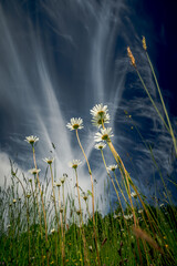 Besondere Wolkenformation Wolkenbilder