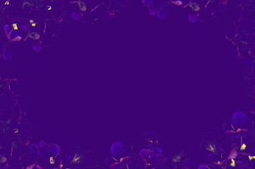 Fototapeta na wymiar Delicate flower motive smoky frame on violet background.Card backdrop.Photo collage.